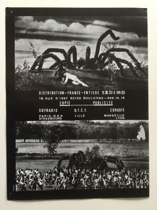 L'invasion des araignées géantes - Image 3