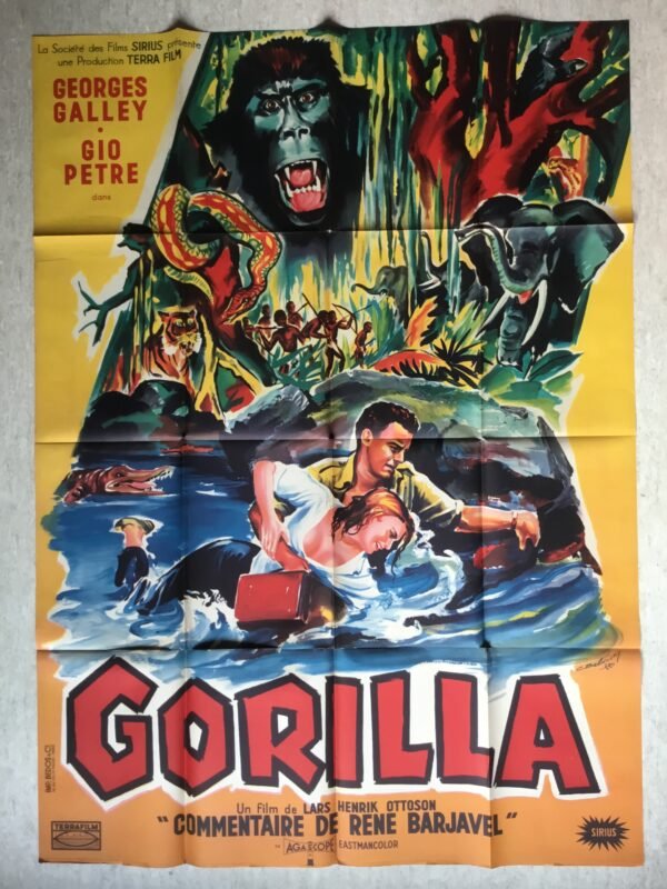 Gorilla