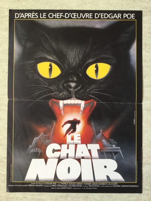 Le chat noir