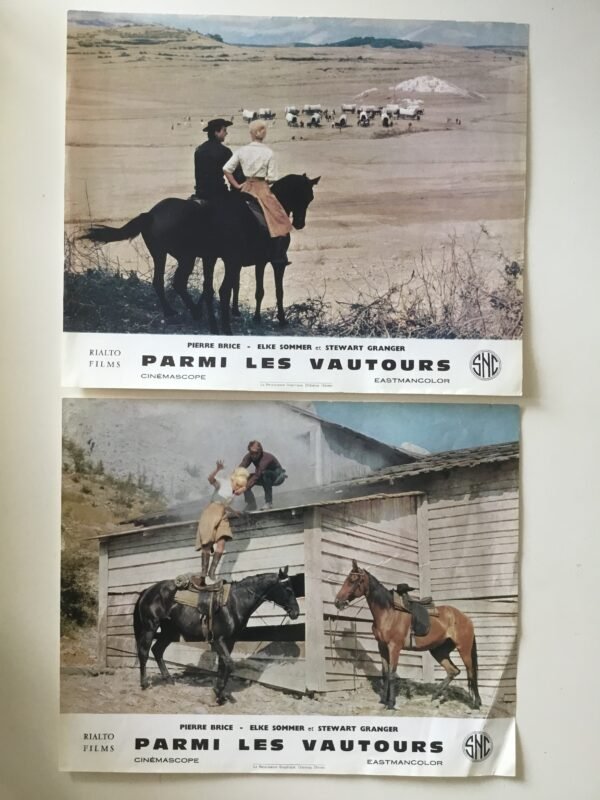 Parmi les vautours