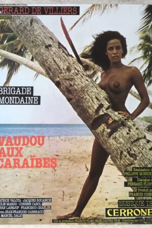vaudou aux caraibes synopsis