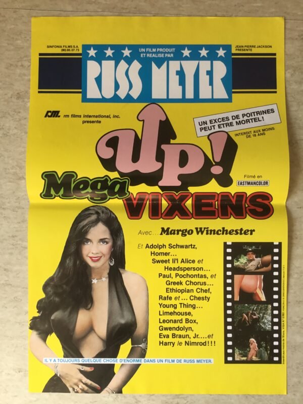 Affiche cinéma Mega Vixens