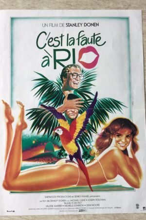 affiche cinema C'est la faute à Rio