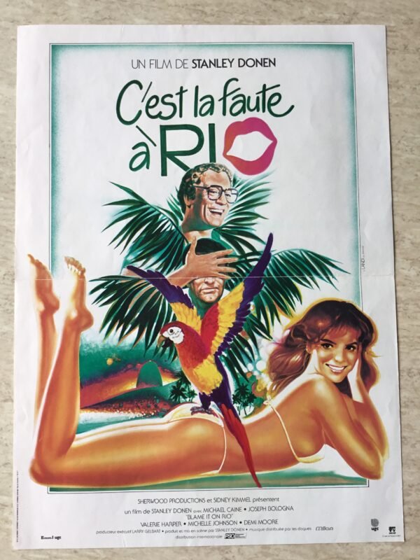 affiche cinema C'est la faute à Rio