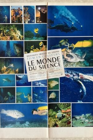 affiche de cinéma le monde du silence