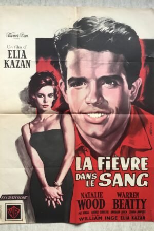 affiche cinema la fièvre dans le sang